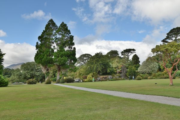 The gardens at Muckross House