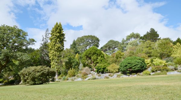 The gardens at Muckross House