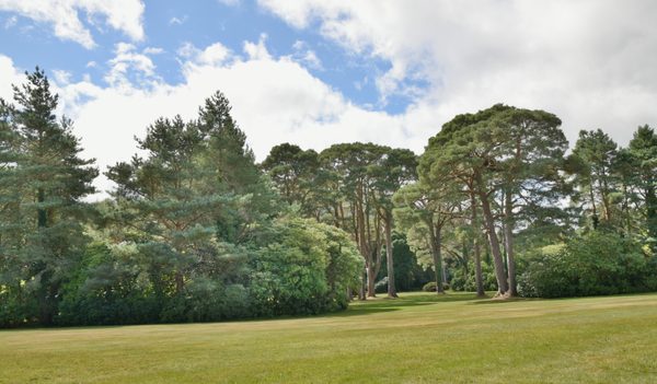 The gardens at Muckross House