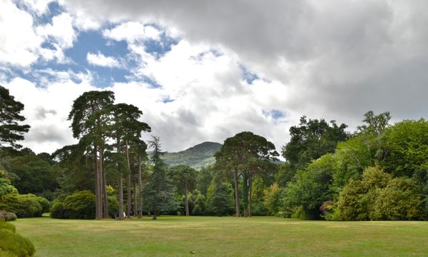 The gardens at Muckross House