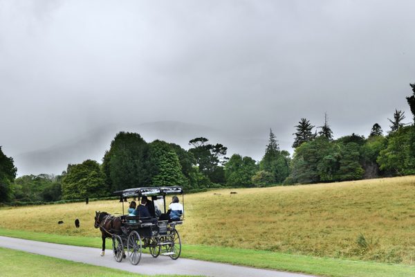 The gardens at Muckross House
