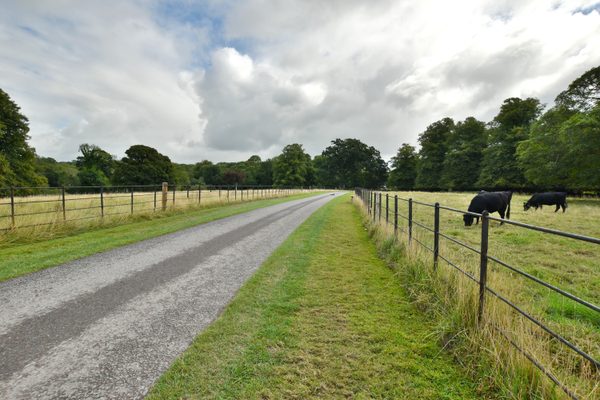 A pathway at Muckross House