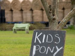 Saint Patrick's Day, Sneem, Co.Kerry