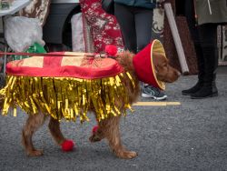 Saint Patrick's Day, Sneem, Co.Kerry