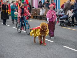 Saint Patrick's Day, Sneem, Co.Kerry