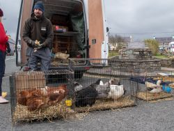 Saint Patrick's Day, Sneem, Co.Kerry