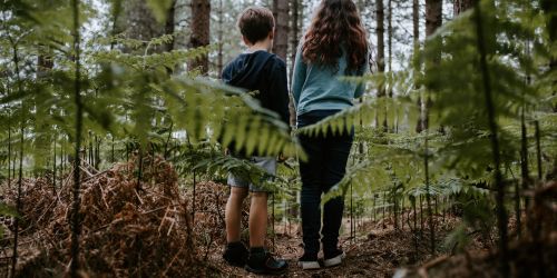 Belleek Wood, County Mayo