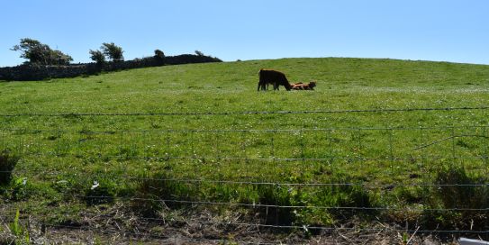 Great Western Greenway in Co. Mayo