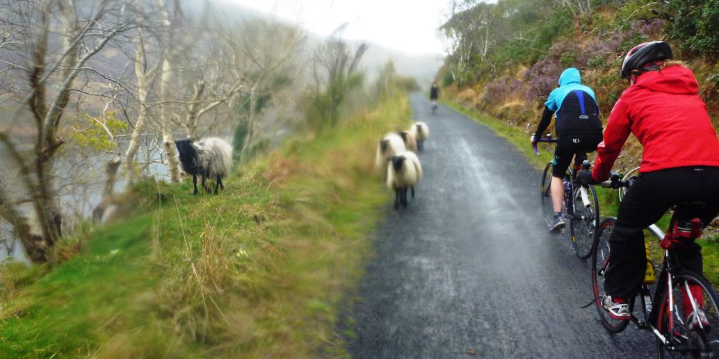 Cycling The Great Western Greenway, County Mayo