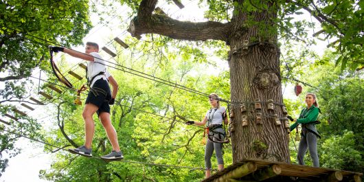 Lough Key Forest Park in Co. Roscommon