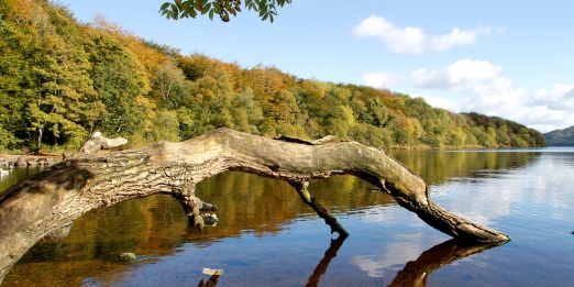 Doorly Park, county Sligo