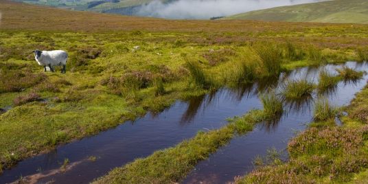 Galtymore, South West Ireland