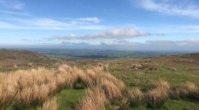 Hiking in South East Ireland
