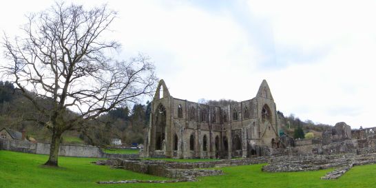 Tintern Abbey, County Wexford