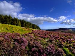 The Wicklow Mountains