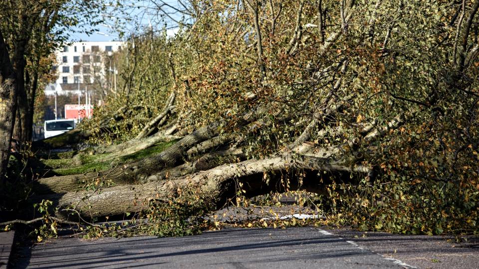 Ireland Storm